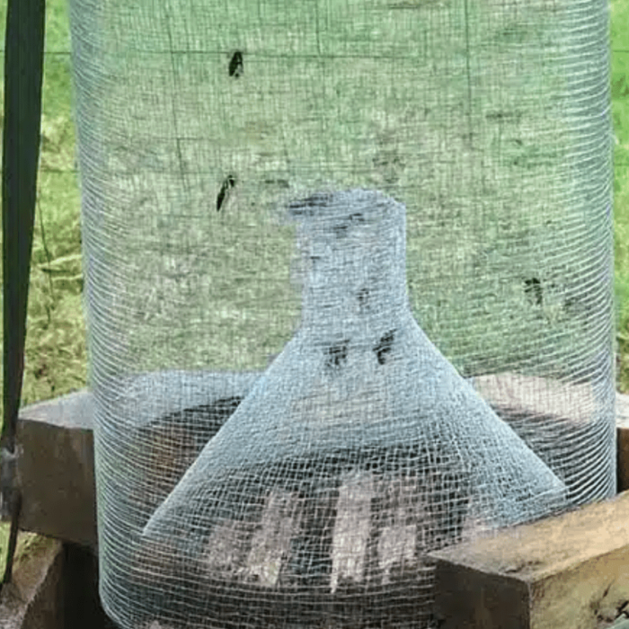 Atelier de fabrication de nasses coréennes anti frelons